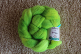 BlueFaced Leicester - Fluo RegenBoog Kleuren