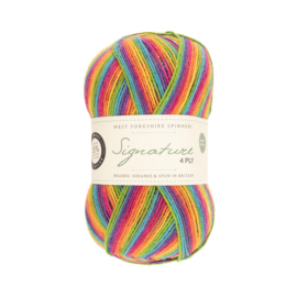West Yorkshire Spinners Signature 4ply The Cocktail Range  - Rum Paradise