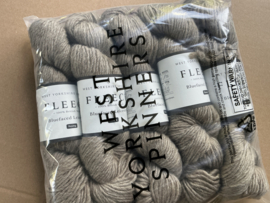 Roving - West Yorkshire Spinners BlueFaced Leicester LichtBruin