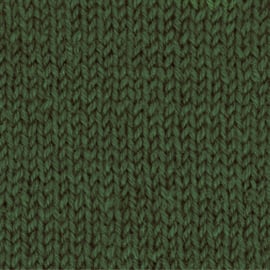 West Yorkshire Spinners Signature 4ply  - Evergreen