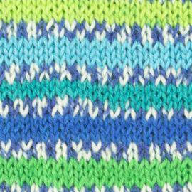 West Yorkshire Spinners Signature 4ply Country Birds Range - Peacock