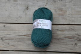 WYS BlueFaced Leicester DK ~ Teal