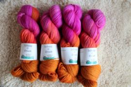 Peruvian Highland - xxx