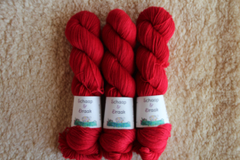 Sok Draak - Fel Rood