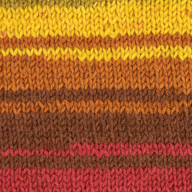 West Yorkshire Spinners Signature 4ply Winwick Mum - Autumn Leaves
