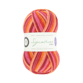 West Yorkshire Spinners Signature 4ply Winwick Mum - Summer Sunset