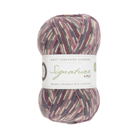 West Yorkshire Spinners Signature 4ply Country Birds Range - Wood Pigeon