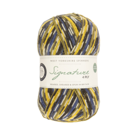 West Yorkshire Spinners Signature 4ply Country Birds Range - Blue Tit