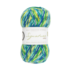 West Yorkshire Spinners Signature 4ply Country Birds Range - Peacock