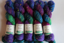Merino/Neon Donegal nep - PauwVogel