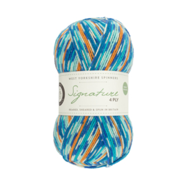 West Yorkshire Spinners Signature 4ply Country Birds Range - Kingfisher