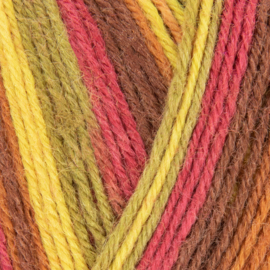 West Yorkshire Spinners Signature 4ply Winwick Mum - Autumn Leaves