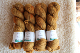 Warm Schaap - EekhoornBruin