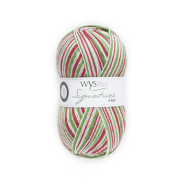 West Yorkshire Spinners Signature 4ply Christmas Collection - Candy Cane