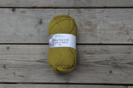 WYS BlueFaced Leicester DK ~ Olive