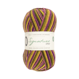 West Yorkshire Spinners Signature 4ply The Cocktail Range - Passion Fruit Cooler