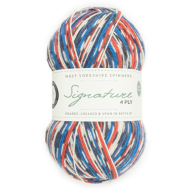 West Yorkshire Spinners Signature 4ply Country Birds Range - Swallow