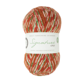 West Yorkshire Spinners Signature 4ply Christmas Collection - Gingerbread