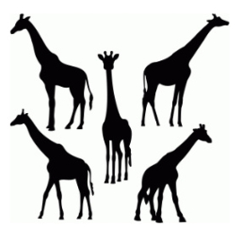 Set GIRAFFEN STICKERS