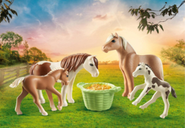 Playmobil 71000 - 2 IJslandse pony's met veulens