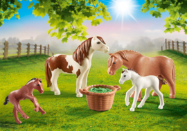 Playmobil 70682 - Pony`s met veulens