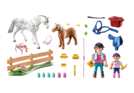 Playmobil 71259 - Starterpack paardenverzorging