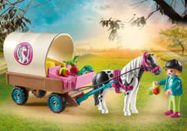 Playmobil 70998 - Ponykoets