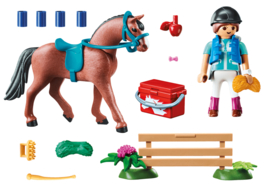 Playmobil 70294 - Kado set "Paarden"