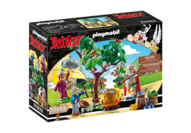 Playmobil 70933 - Asterix: Panoramix met toverdrank