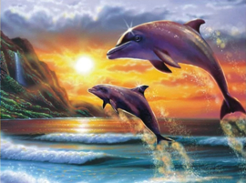 Full Diamond painting dolfijnen  45 x 60 cm