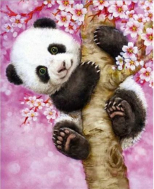 Full Diamond painting  Pandabeer 30 x 40 cm