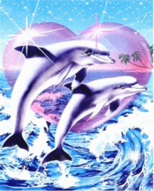 Full diamond painting Dolfijnen 40 x 60 cm