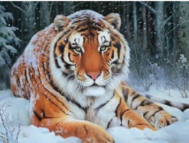 Full Diamond Painting tijger 30 x 40 cm