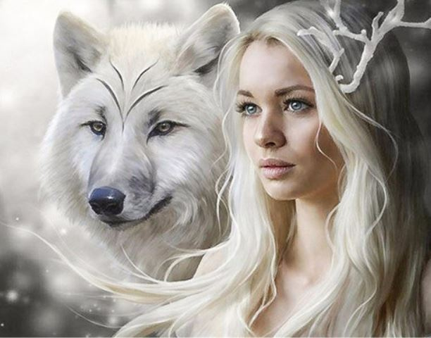 Full Diamond Painting wolf met meisje 30 x 40