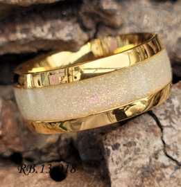 Stainless Steel ring RB.13.018