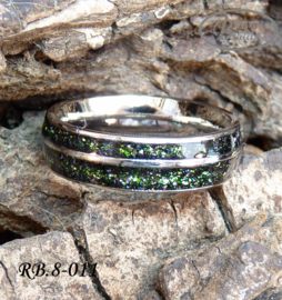 Stainless Steel ring RB.8.011