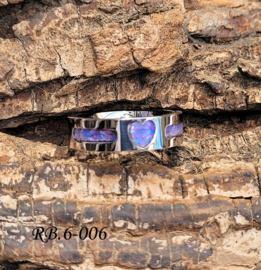 Stainless Steel ring RB.6.006