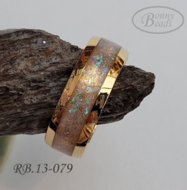 Stainless Steel ring RB.13.079