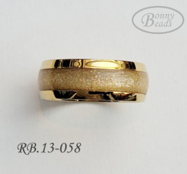 Stainless Steel ring RB.13.058