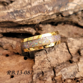 Stainless Steel ring RB.13.087
