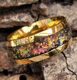 Stainless Steel ring RB.13.002