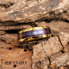 Stainless Steel ring RB.13.093