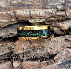 Stainless Steel ring RB.13.077