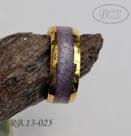 Stainless Steel ring RB.13.025
