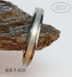 Stainless Steel ring RB.9.026