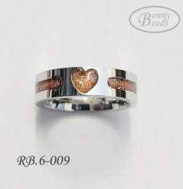 Stainless Steel ring RB.6.009