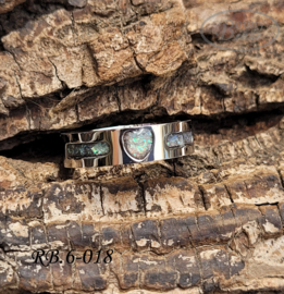 Stainless Steel ring RB.6.018