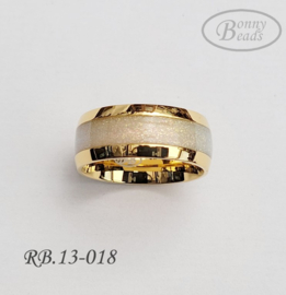 Stainless Steel ring RB.13.018