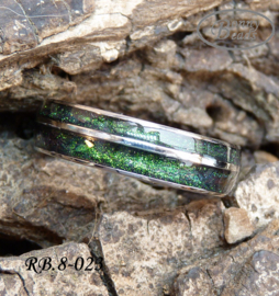 Stainless Steel ring RB.8.023