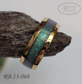 Stainless Steel ring RB.13.068
